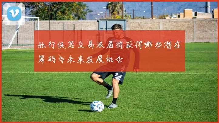 独行侠若交易浓眉将获得哪些潜在筹码与未来发展机会