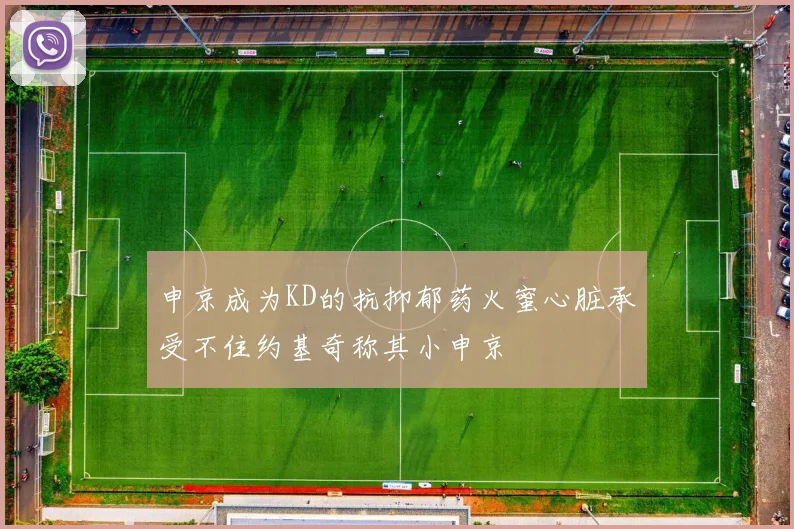 申京成为KD的抗抑郁药火蜜心脏承受不住约基奇称其小申京