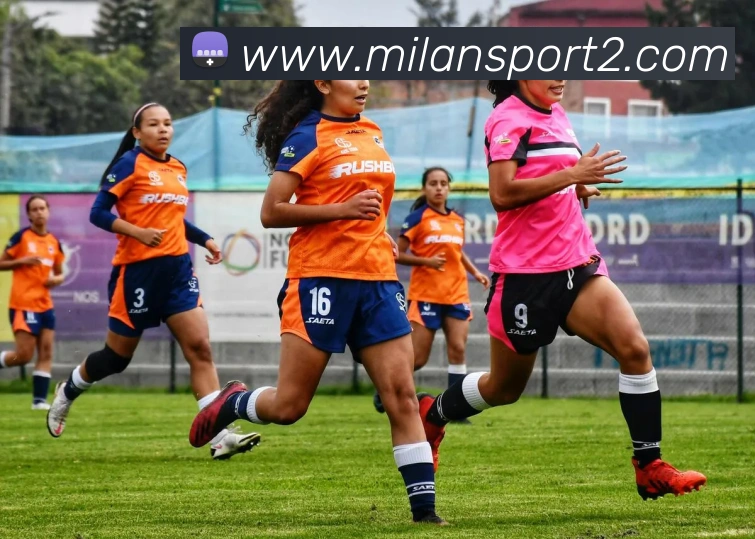 米兰体育服务体系